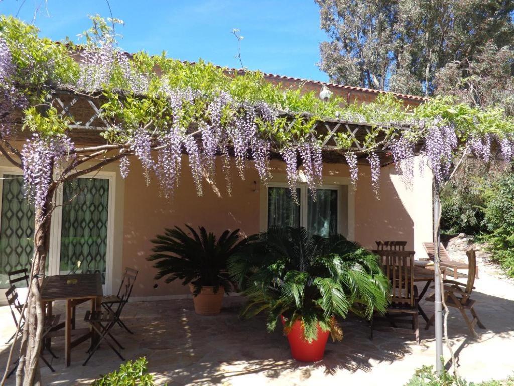 Villa Angelina Garden Grimaud Esterno foto